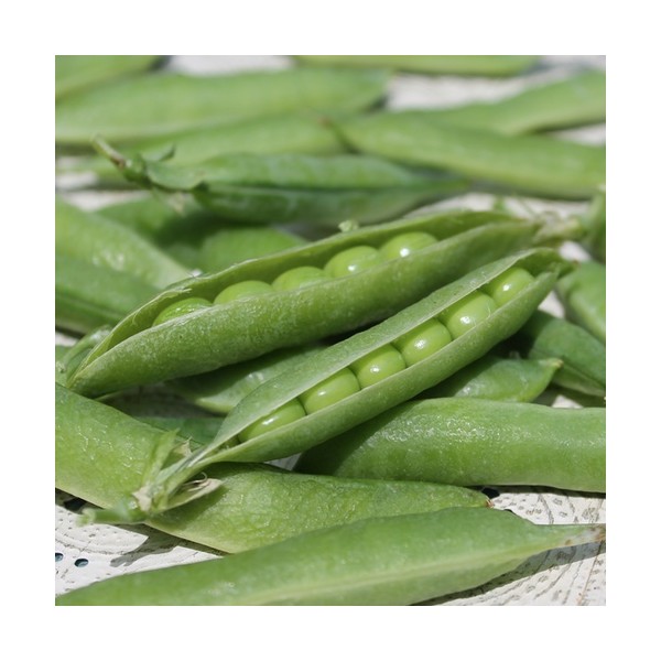 Žirniai raukšlėtieji Petit Provencal 1 kg 2695