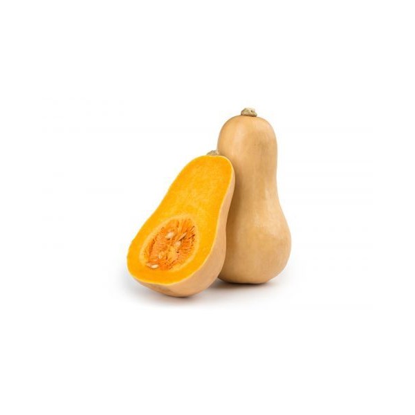 Keegelkõrvits Waltham Butternut 0,5 kg