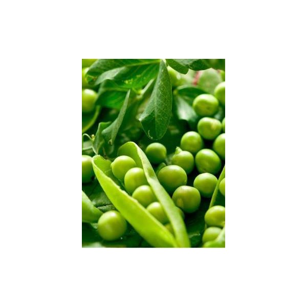 Žirniai raukšlėtieji  Kantata 1 kg 2697