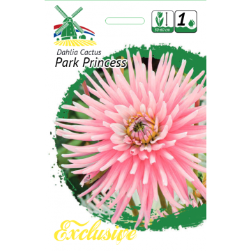 Jurginai Park Princess 1sv....