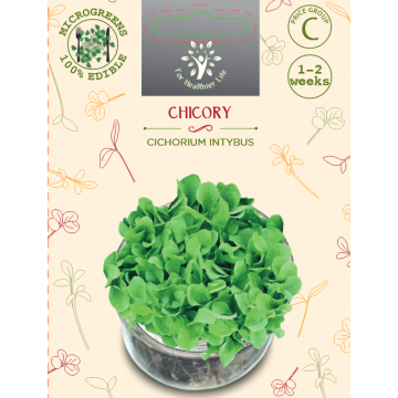 Microgreens Chicory Spadona 5g