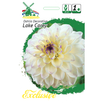Daaliad Lake Carey 1tk