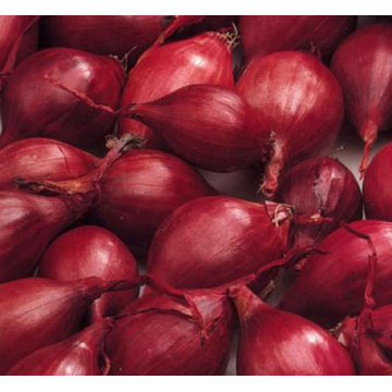 10kg RED KARMEN 14/21...