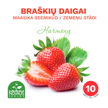 10tk Harmony maasikataimed...