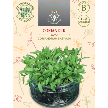 Microgreens Coriander 10g