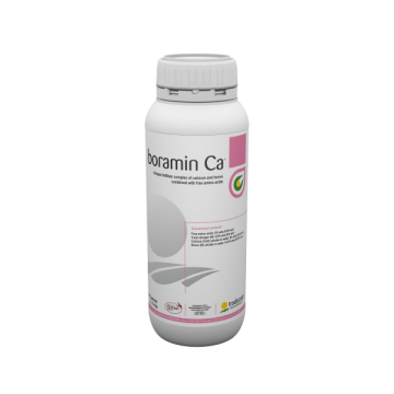 Boramin Ca biostimulaator 1L