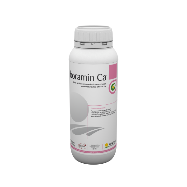 Boramin Ca biostimulaator 1L