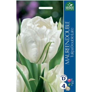 TULP MAUREEN DOUBLE