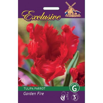 TULP EXCLUSIVE GARDEN FIRE