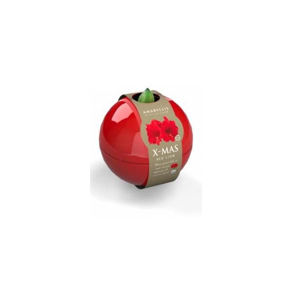 Ratsuritäht Punane "X-Mas Ball" - punane lill 1tk.