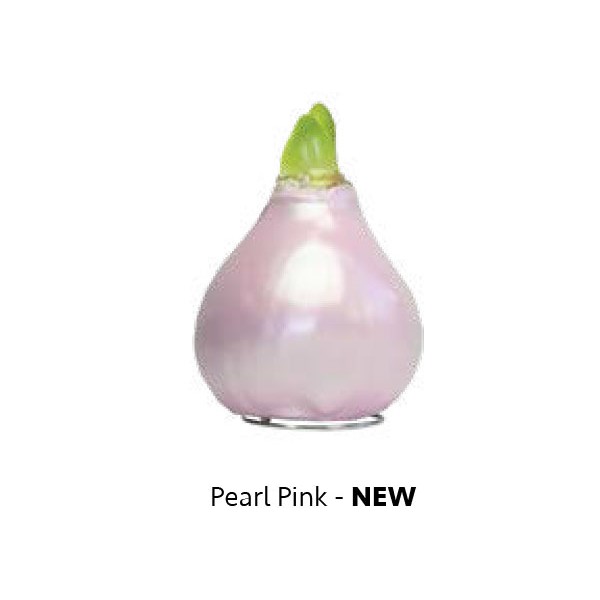 helme Pink Vahatatud Ratsuritäht Celebration - punane lill 1tk