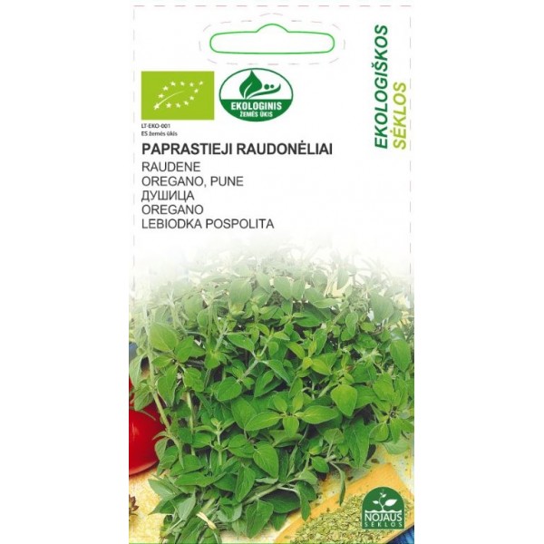 OREGANO, PUNE PAULA