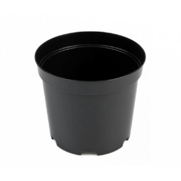 Vase 5l D-24 must