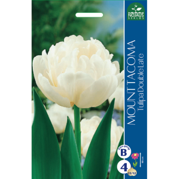 Tulp MOUNT TACOMA 11/12 100tk.