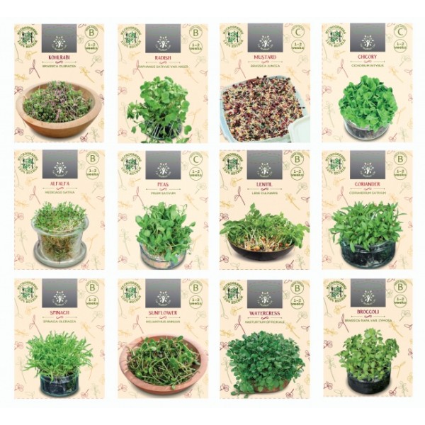 12 LIIKI MIKROKÖÖGIVILJADE SEEMNETE KOLLEKTSIOON