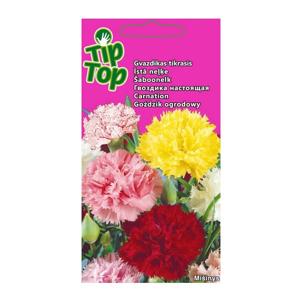 Flower seed collection cottage garden & border favorites