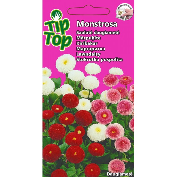 Flower seed collection cottage garden & border favorites