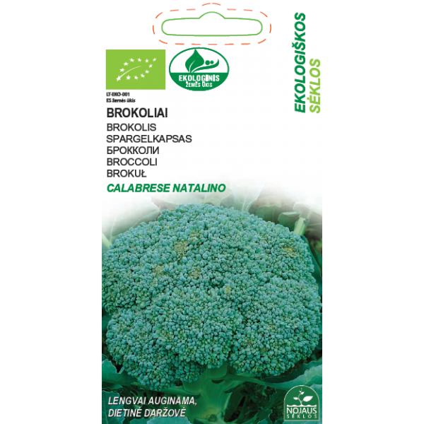 SPARGELKAPSAS CALABRESE NATALINO (Kergelt kasvatatav, dieetköögivili)