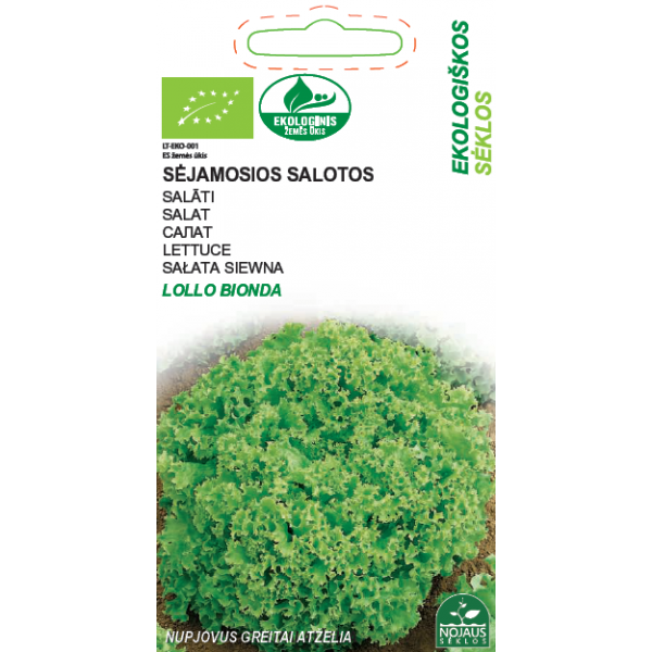 SALAT LOLLO BIONDA (Äralõigatud varred kasvatavad kiiresti rohelised võsud)