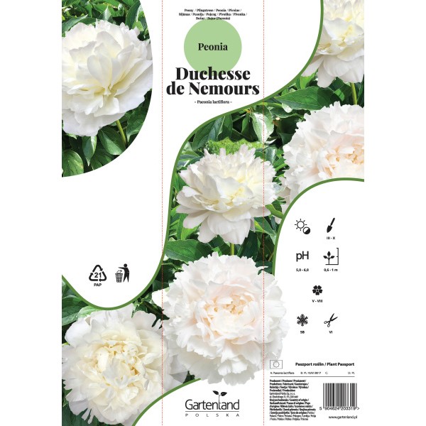 Ploomid DUCHESSE DE NEMOURS