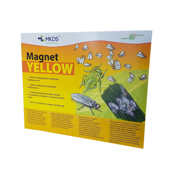 Magnet KOLLANE kärbes- ja kahjurilõks 20x25