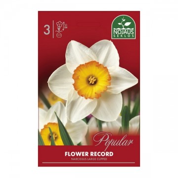 NARTSISSID FLOWER RECORD