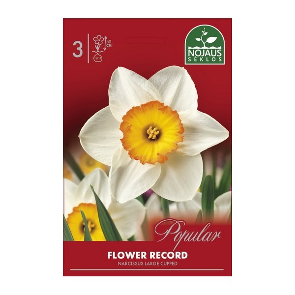 NARTSISSID FLOWER RECORD