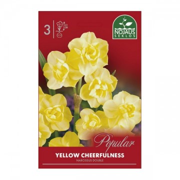 Nartsissid Yellow...