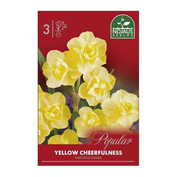 Nartsissid Yellow Cheerfulness 12/14 3tk.