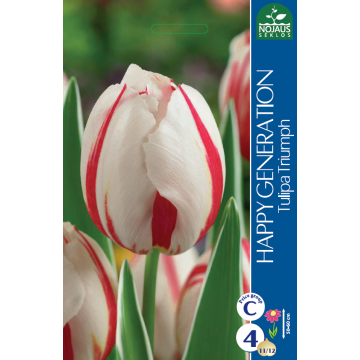 Tulp HAPPY GENERATION 11/12...