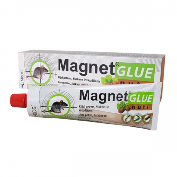 MAGNET NUTS - levitatav...