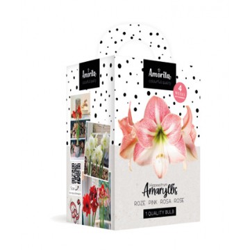 Amaryllis roosa sõrmus karbis