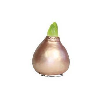 Pearl Rose Vahatatud...