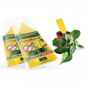 FLORABAND Liimitav...