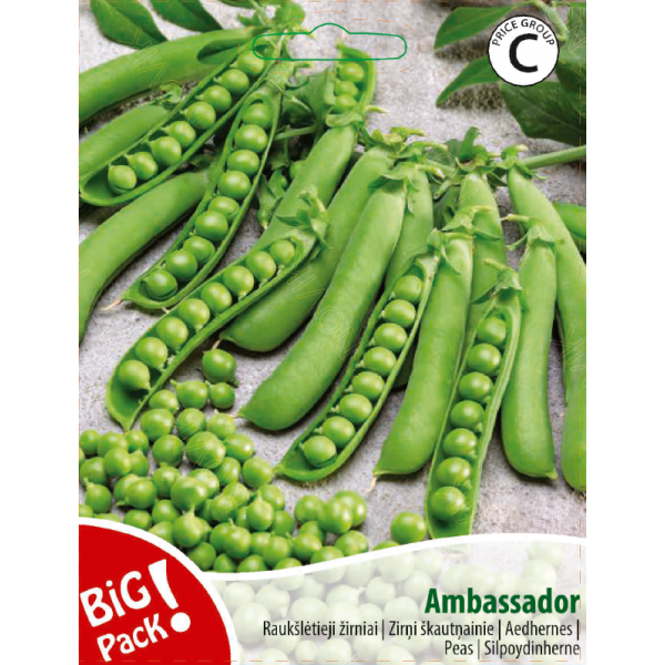 Žirniai raukšlėtieji Ambassador 20g 10291