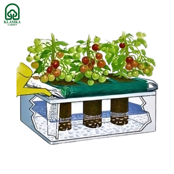 Коробка для полива растений KLASIKA Garden Basic