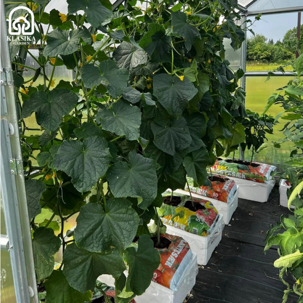 Коробка для полива растений KLASIKA Garden Basic