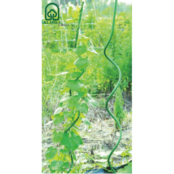 Taimede panused (SPIRAL) 120cm / 11mm