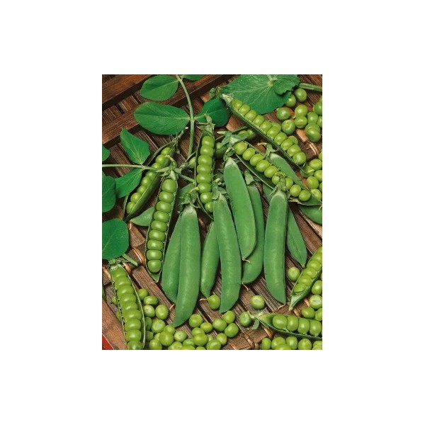 Žirniai raukšlėtieji Ambrosia 1kg
