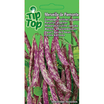 Карликовая фасоль Merveille...