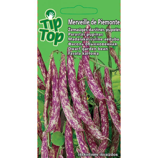 Карликовая фасоль Merveille de Piemonte
