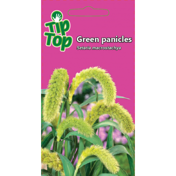 Šerytė stambiavarpė Green...