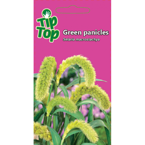 Euraasia vingerjas Green panicles 0.2g