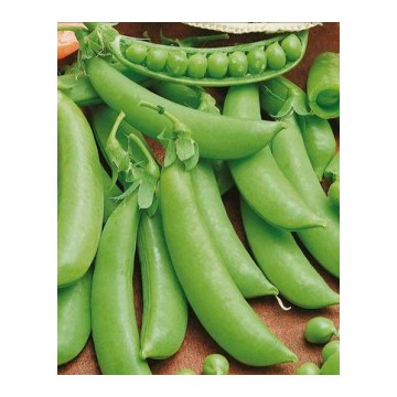 Ambassador kortsus herned 1kg