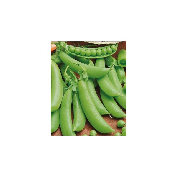 Žirniai raukšlėtieji Ambassador 1kg