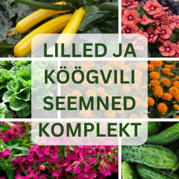 Lille- ja...