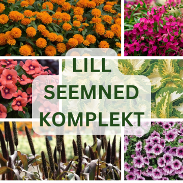 Lilleseemnete komplekt...