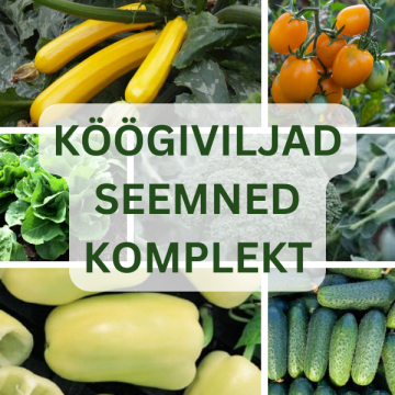 Köögivilja seemnekomplekt...