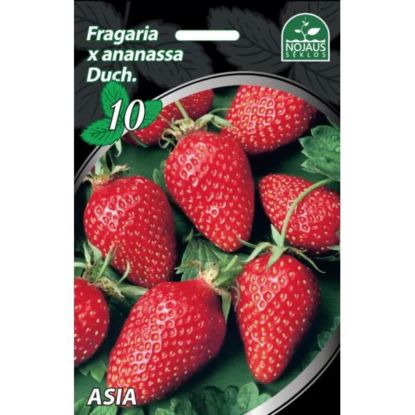 Frigo maasikad Asia 10tk