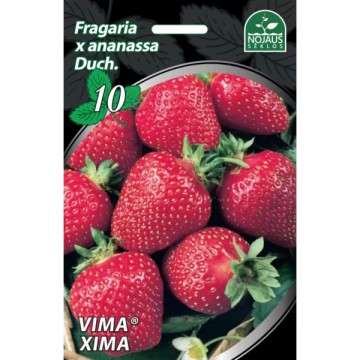 Maasikad Vima® Xima 10tk